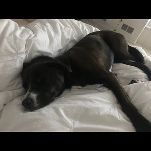 Meet your Posher, Stoddie